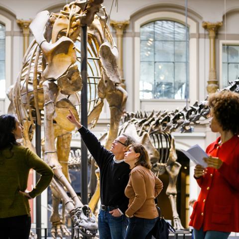 Blick vom Foyer in den Sauriersaal des Museums für Naturkunde Blick vom Foyer in den Sauriersaal des Museums für Naturkunde
