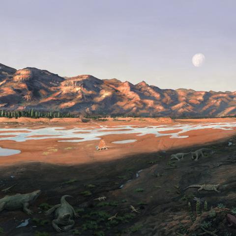 Illustration of a wide river valley in the mountains with early tetrapods and reptiles. Illustration of a wide river valley in the mountains with early tetrapods and reptiles.