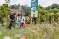 Bürger:innen und Projektbeteiligte von "Vielfalt verstehen" in einer Grünanlage in Berlin-Reinickendorf